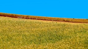 Contrastes 010