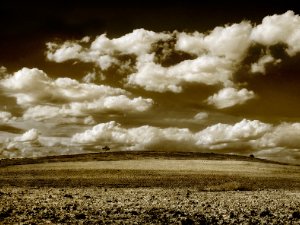 Campos de Castilla